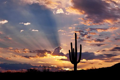 Reasons to Rent Your Tucson Home